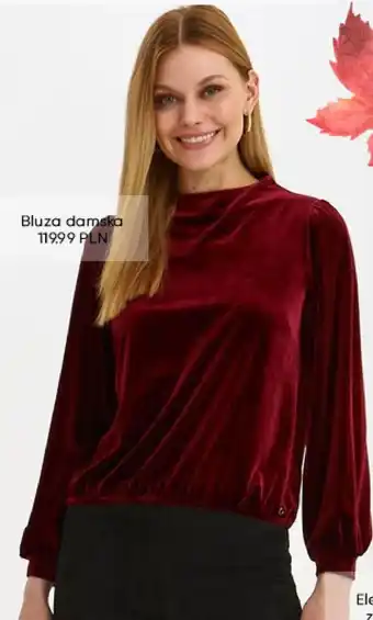 Top Secret Bluza damska oferta