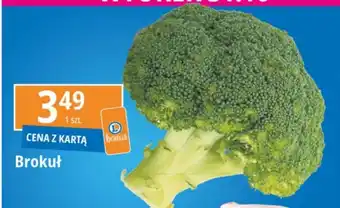 E.Leclerc Brokuł oferta