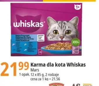 E.Leclerc Karma dla kota oferta