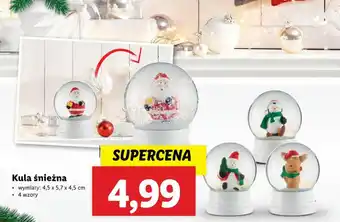 Lidl Kula śnieżna oferta