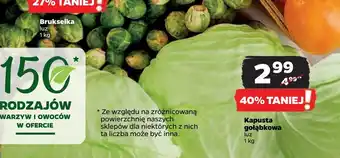 Netto Kapusta gołąbkowa oferta