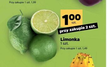 Netto Limonka oferta