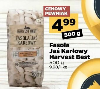 Netto Fasola Jaś Karłowy Harvest Best oferta