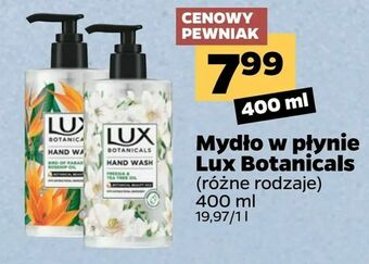 Netto Mydło w płynie Lux Botanicals oferta