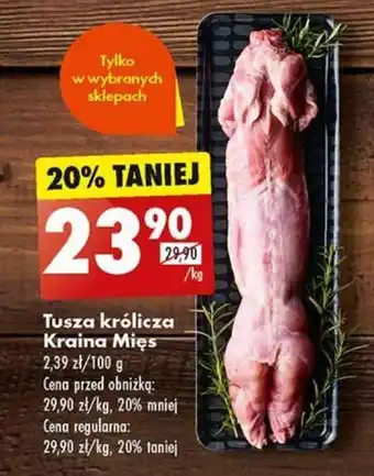 Biedronka Tusza królicza Kraina Mięs 1kg oferta