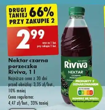 Biedronka Nektar czarna porzeczka Riviva, 1 L oferta
