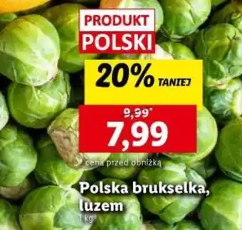 Lidl Polska brukselka, luzem 1 kg oferta