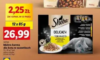Lidl SHEBA Mokra karma dla kota w saszetkach 12 x 85 g oferta