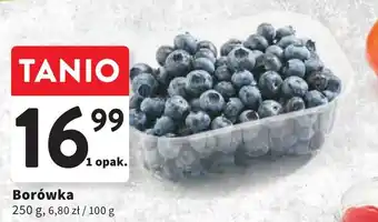 Intermarche Borówka 250 g oferta