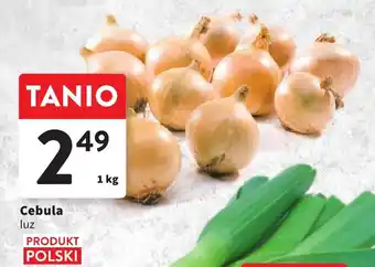 Intermarche Cebula luz 1 kg oferta