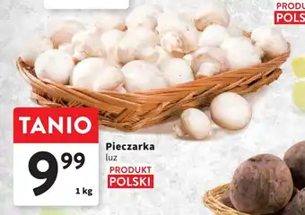 Intermarche Pieczarka luz 1 kg oferta