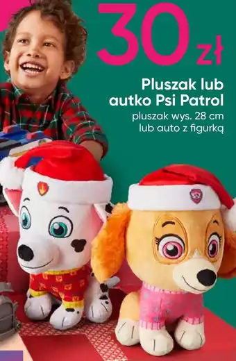 Pepco Pluszak oferta