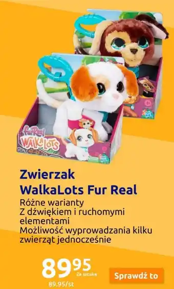 Zwierzak WalkaLots Fur Real