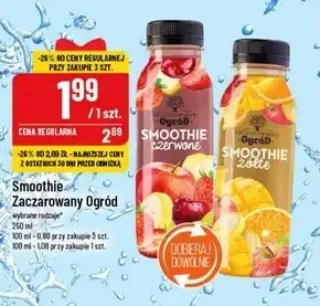 Polomarket Smoothie oferta