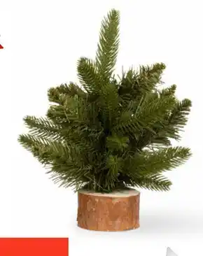 Dealz Choinka oferta