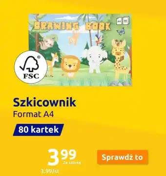 Action Szkicownik oferta