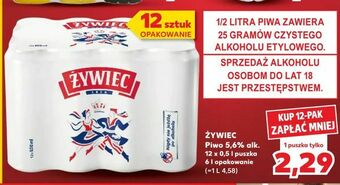 Kaufland ŻYWIEC Piwo 5,6% alk oferta