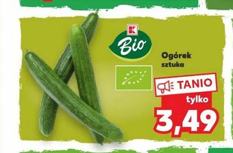 Kaufland Ogórek oferta