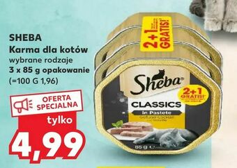 Kaufland SHEBA Karma dla kotów oferta