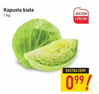 Stokrotka Kapusta biała oferta