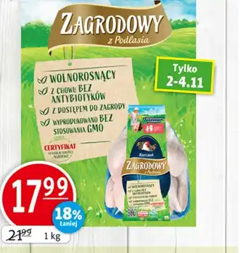 Prim Market Kurczak oferta