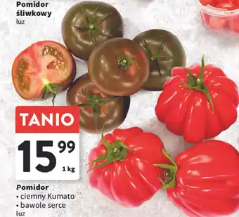 Intermarche Pomidor 1 kg oferta