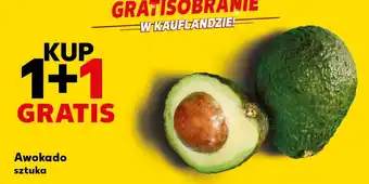 Kaufland Awokado sztuka oferta