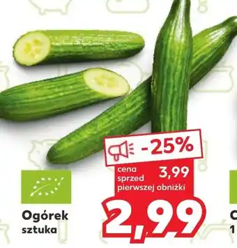 Kaufland Ogórek oferta
