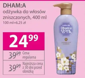 Hebe Odżywka do włosów oferta