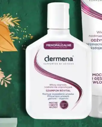 Ziko Dermo Szampon dermena oferta