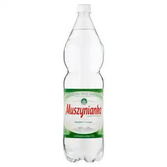Netto Muszynianka naturalna woda mineralna wysokozmineralizowana niskonasycona co2 1,5 l oferta