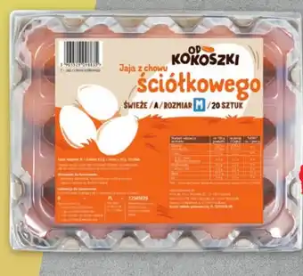 Netto Jaja od kokoszki oferta