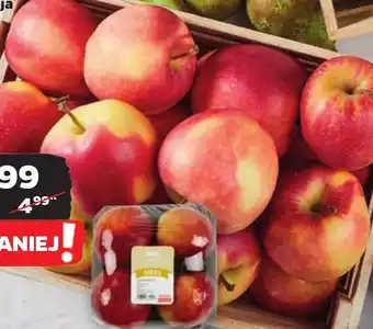 Netto Jabłka oferta