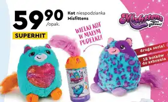 Biedronka Kot niespodzianka Misfittens oferta