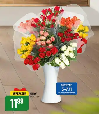 Polomarket Róże 9szt. oferta