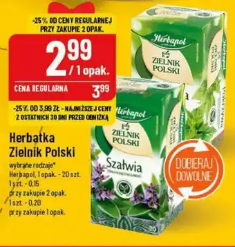 Polomarket Herbatka Zielnik Polski Herbapol 20 szt. oferta