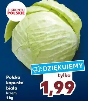 Kaufland Kapusta biała oferta