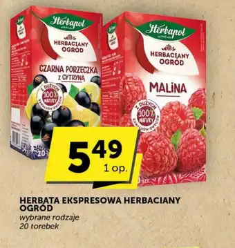 Groszek HERBATA EKSPRESOWA HERBACIANY OGRÓD 20 torebek oferta