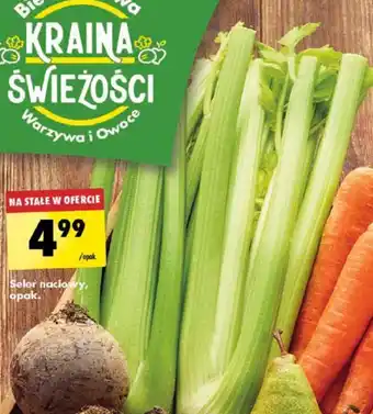 Biedronka Seler naciowy, opak. oferta