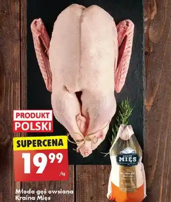 Biedronka Młoda gęś owsiana Kraina Mięs 1kg oferta