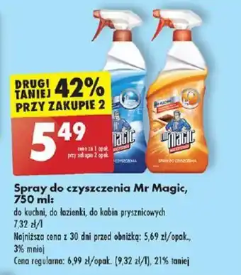 Biedronka Spray do czyszczenia Mr Magic, 750 ml oferta