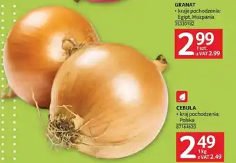 Selgros CEBULA 1 KG oferta