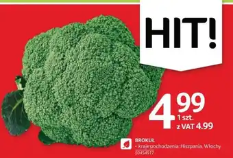 Selgros BROKUŁ 1 SZT. oferta
