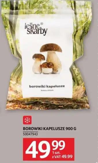 Selgros LEŚNE SKARBY BOROWIKI KAPELUSZE 900 G oferta