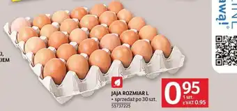 Selgros JAJA ROZMIAR L 1 SZT. oferta