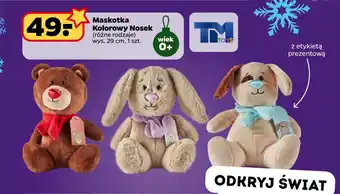 Netto Maskotka kolorowy nosek oferta