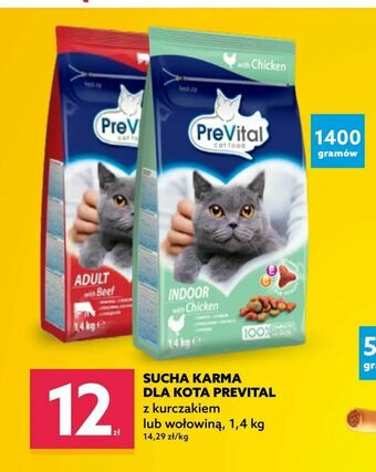 Dealz Sucha karma dla kota prevital oferta