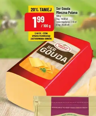Polomarket Ser Gouda Mleczna Polana 100 g oferta