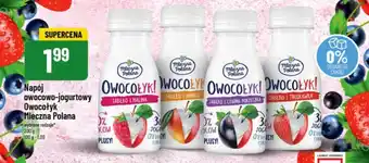 Polomarket Napój owocowo-jogurtowy Owocołyk Mleczna Polana 200 g oferta
