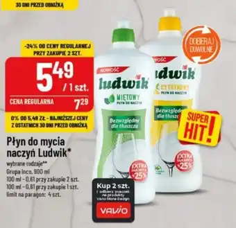 Polomarket Płyn do mycia naczyn Ludwik Grupa Inco, 900 ml oferta